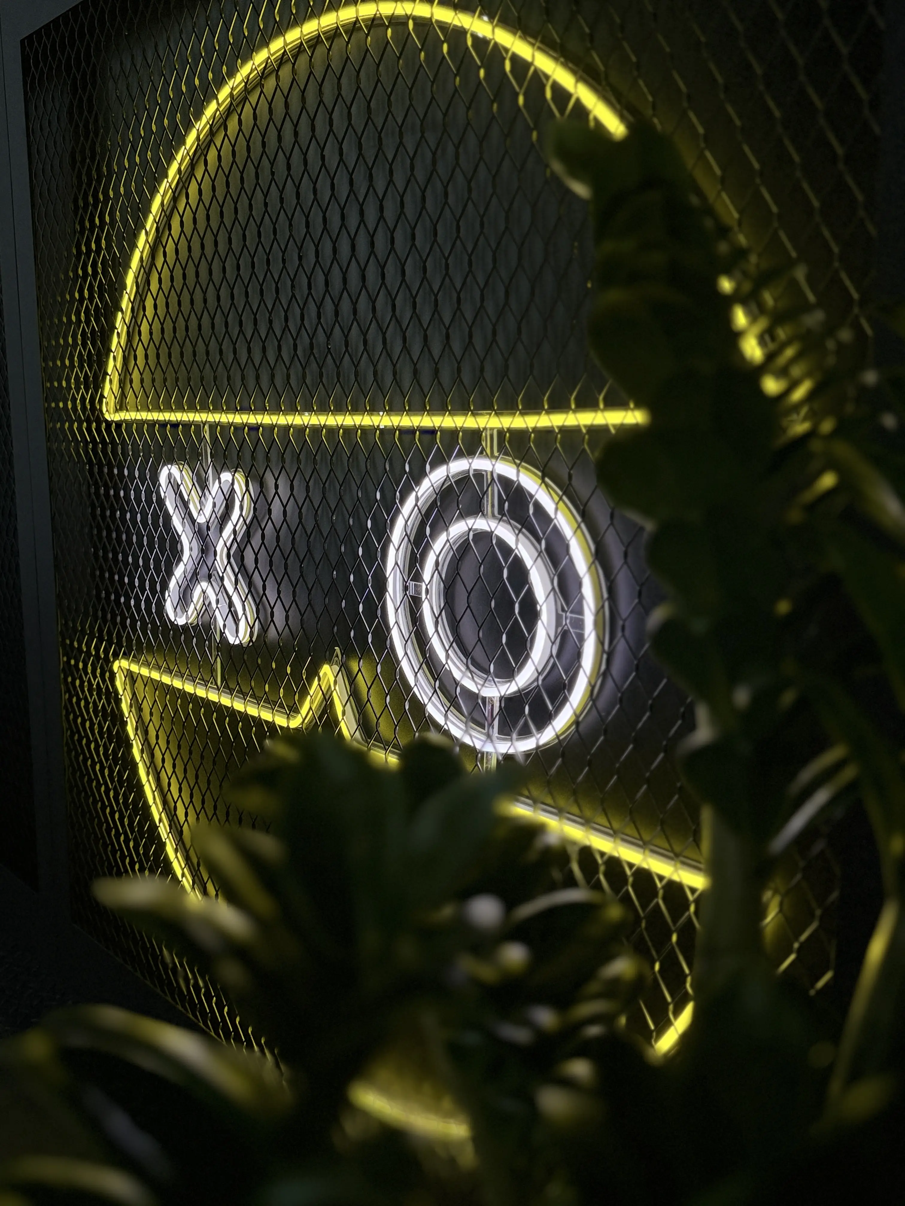 Изображение клуба COLIZEUM Олимпийский № 1