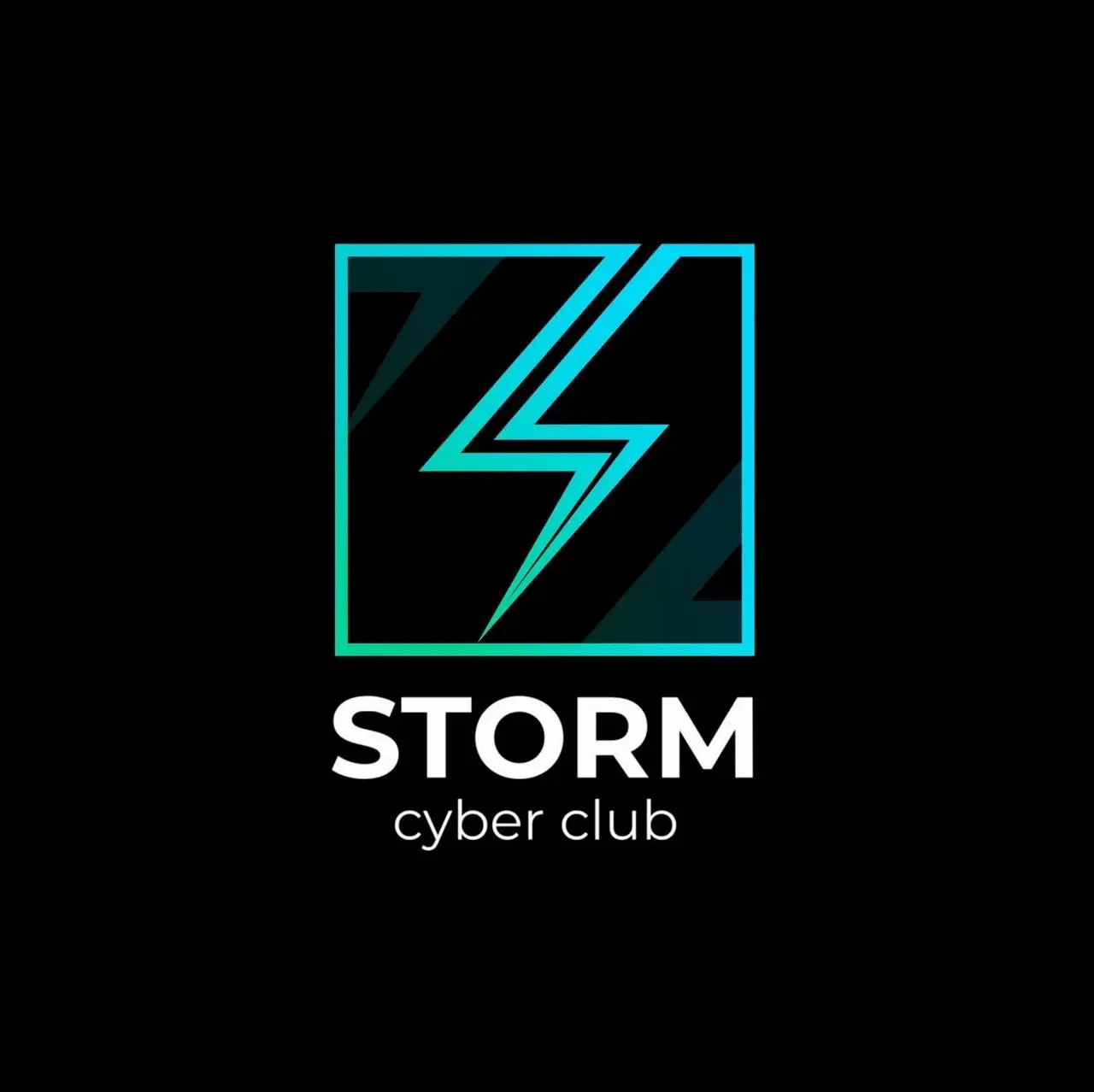 Изображение клуба STORM Cyber Club № 1