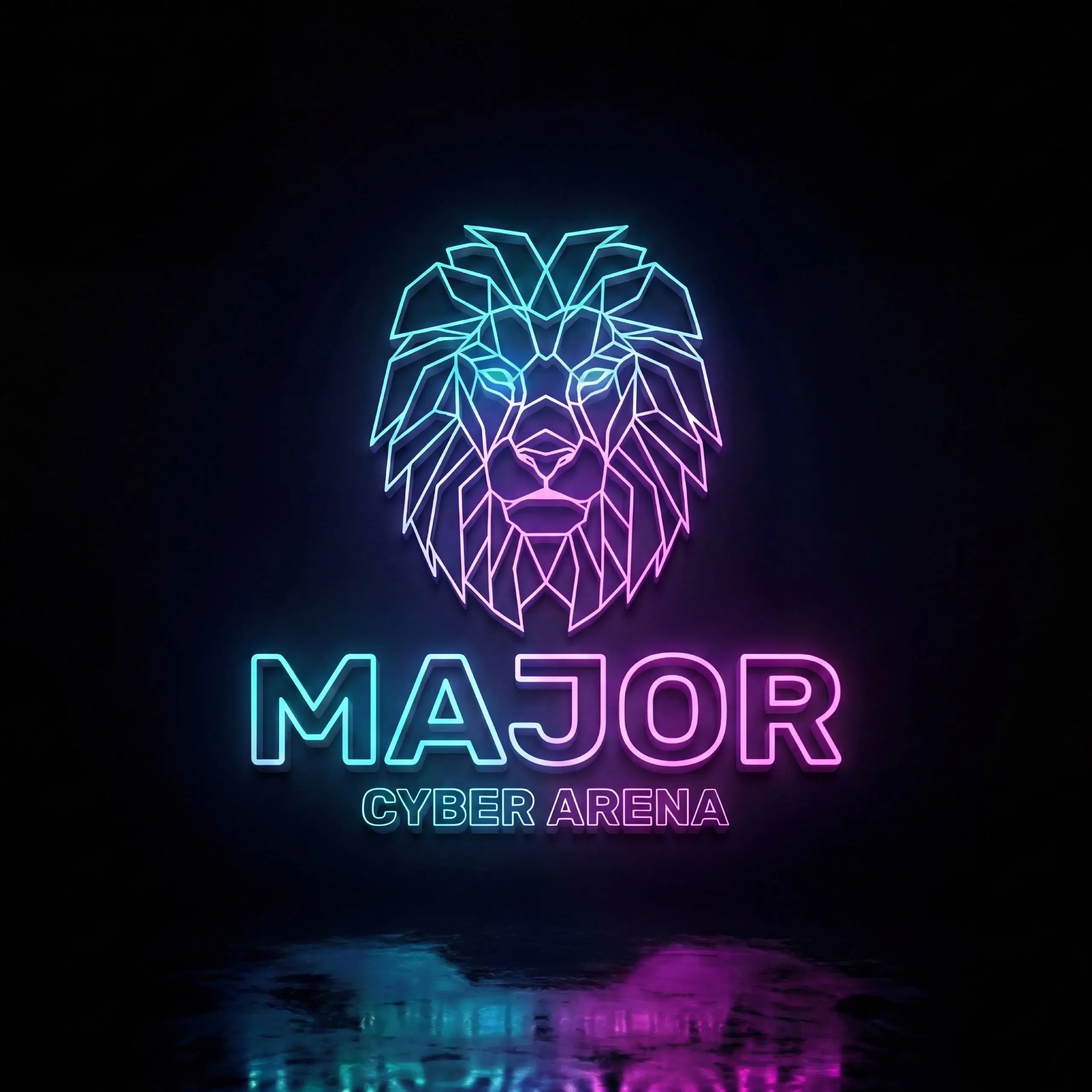 Изображение клуба MAJOR CYBER ARENA № 1