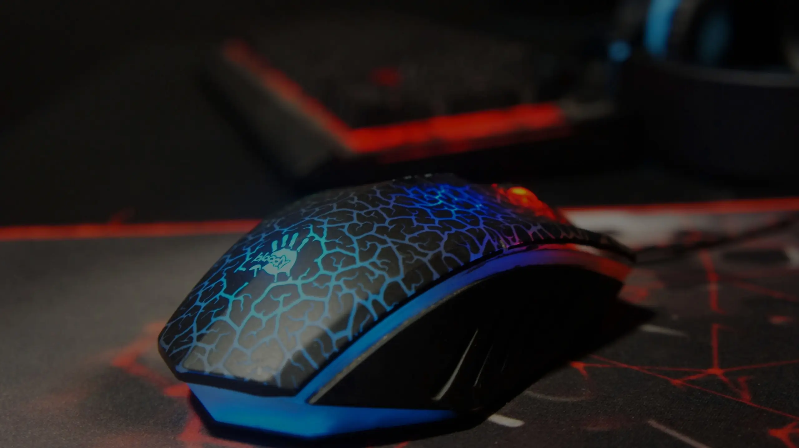 Изображение клуба TeamTeaClub № 6