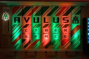 Изображение клуба AVULUS Cyber Space