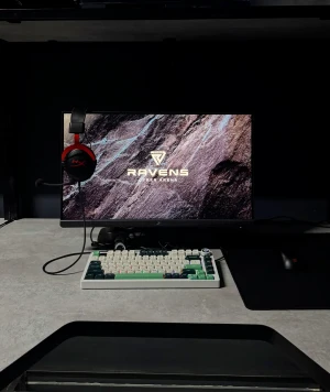 Изображение клуба RAVENS Cyber Arena